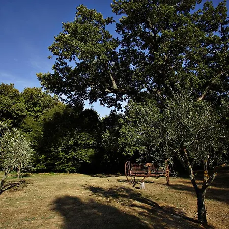San Francesco Villa *