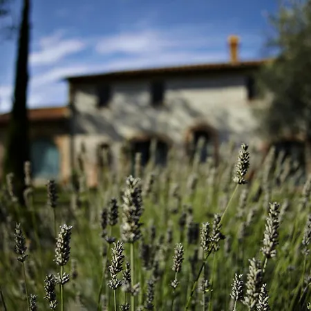 San Francesco *